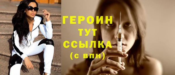 индика Новозыбков