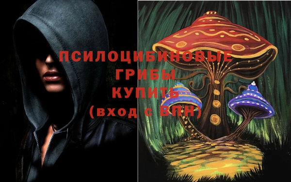 МДМА Новодвинск