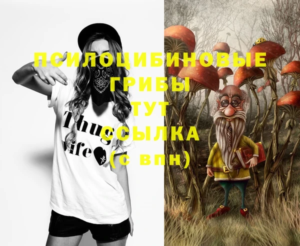 стафф Абаза