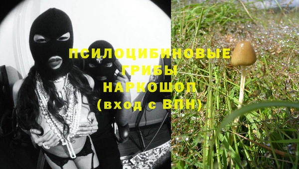 прущие крисы Алзамай