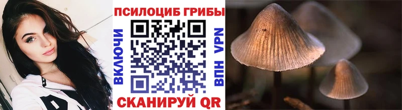 купить закладку  Сухиничи  Псилоцибиновые грибы Cubensis 